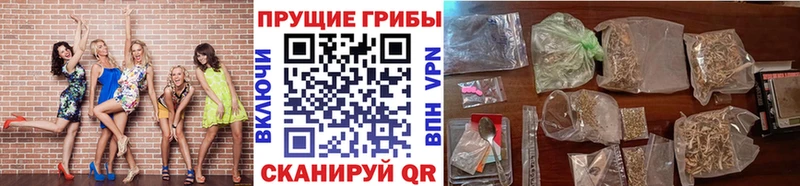 Псилоцибиновые грибы Magic Shrooms  Моршанск 